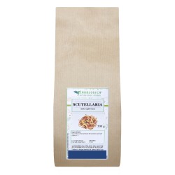 Scutellaria radice taglio tisana Scutellaria radice taglio tisana