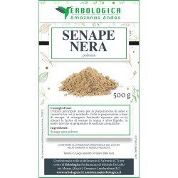 Senape nera polvere spezia  Senape nera polvere spezia