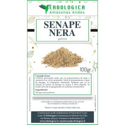 Senape nera polvere spezia  Senape nera polvere spezia