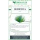 Serenoa serrulata fruit cut herbal tea Serenoa serrulata fruit cut herbal tea