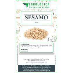Semi di sesamo spezia  Semi di sesamo spezia