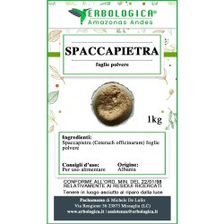 Spaccapietra pianta in polvere Spaccapietra pianta in polvere
