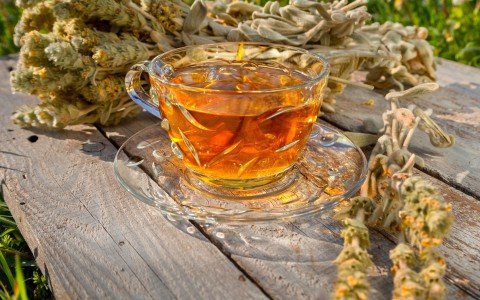 Greek mountain tea benefits and how to use it