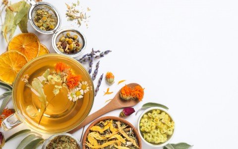 Herbal teas and cold infusions