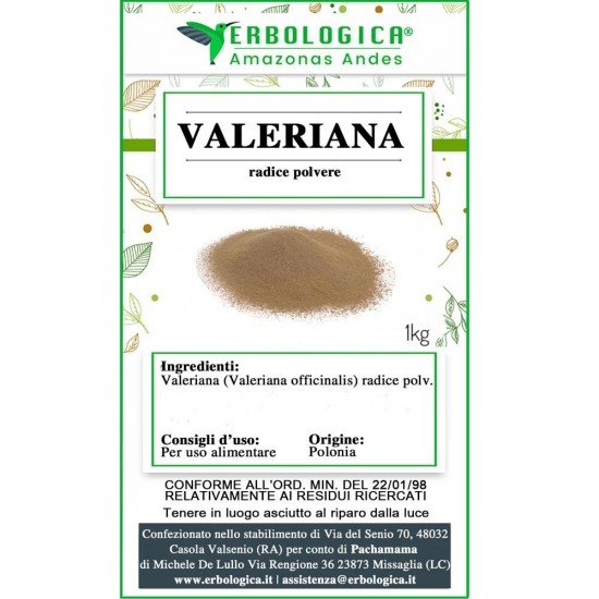 Valeriana radice polvere