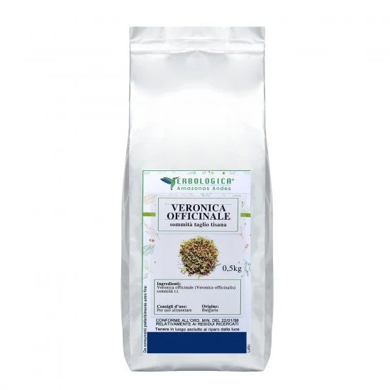 Veronica officinale tisana Veronica officinale tisana