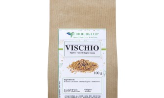 Erbe medicinali per disinfettare le vie urinarie