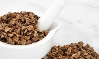 Benefici dell’Artiglio del Diavolo