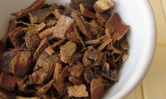 Cascara Sagrada usi e benefici Cascara Sagrada usi e benefici
