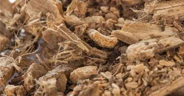 condurango corteccia