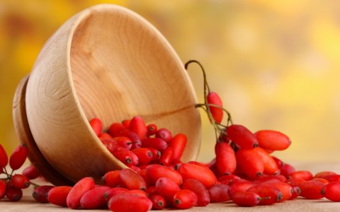 Barberry benefits, uses and contraindications
