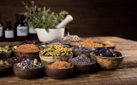 Wholesale prices of medicinal plants