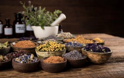 Prezzi ingrosso piante officinali Prezzi ingrosso piante officinali