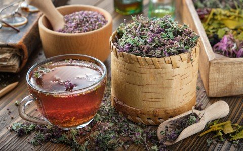 Erbe medicinali e tisane tipiche della montagna