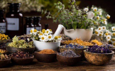 Medicinali erboristici e tisane che purificano il corpo