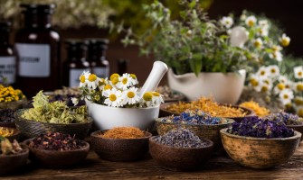 Erbe officinali tisane che combattono la pelle grassa Erbe officinali tisane che combattono la pelle grassa