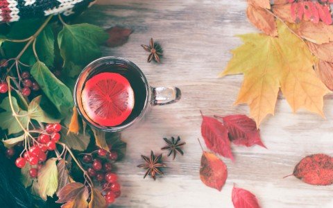 Officinal herbs and herbal teas for autumn