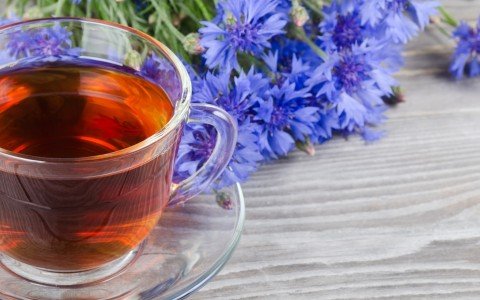 Benefici e ricette del tè di fiordaliso: scoperta erboristica naturale Benefici e ricette del tè di fiordaliso: scoperta erboristica naturale