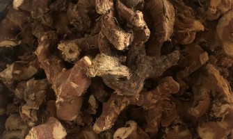 I benefici e gli usi della Pianta Galanga: Scopri le proprietà terapeutiche di questa meraviglia naturale