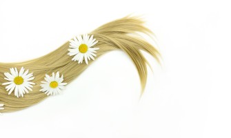 Henné biondo naturale camomilla