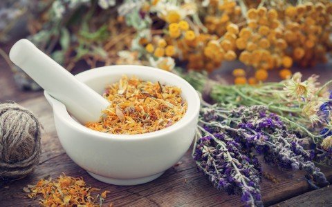 Herbal remedies for itching