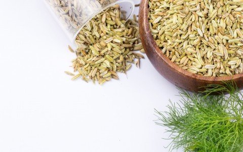 Fennel seeds what they are for and their benefits for our body