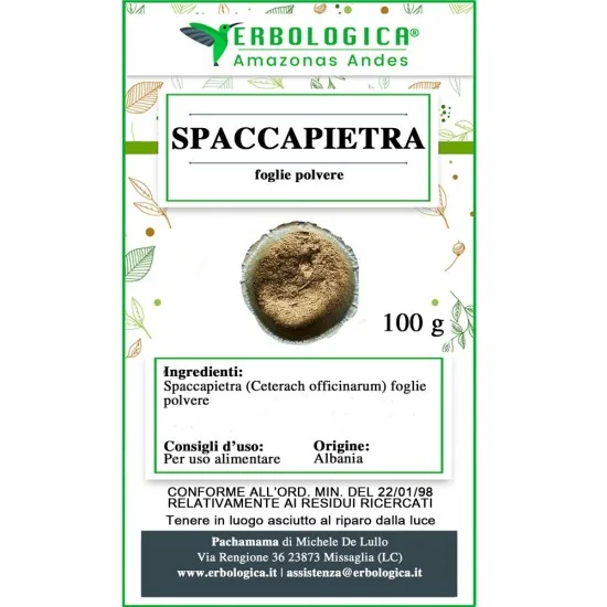 Spaccapietra pianta in polvere Spaccapietra pianta in polvere