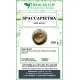 Spaccapietra pianta in polvere Spaccapietra pianta in polvere