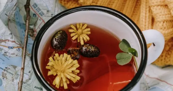 tisane che aiutano ad abbassare il colesterolo