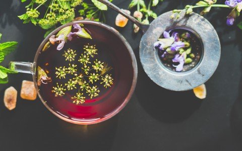 Le tisane depurative per il fegato