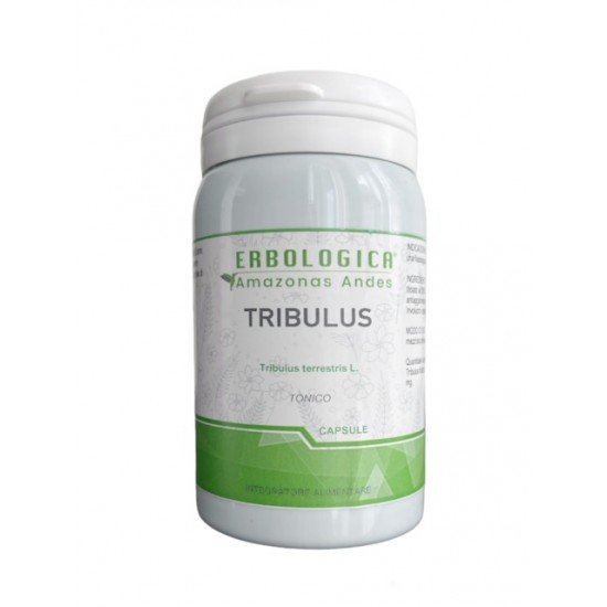 Tribulus extract in capsules
