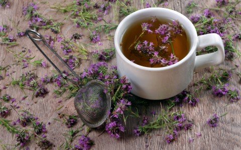 Scopri la verbena: benefici, usi tradizionali e guida all'aromaterapia