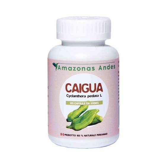 Caigua capsules, fights cholesterol, 120 herbological capsules