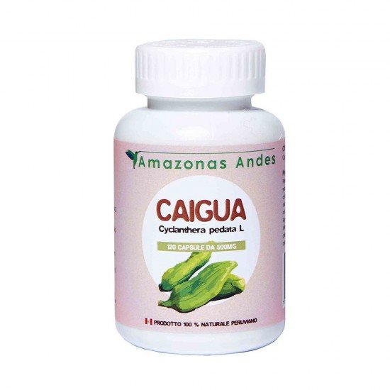 Caigua capsule, combatte colesterolo, 120 capsule erbologica Caigua capsule, combatte colesterolo, 120 capsule erbologica