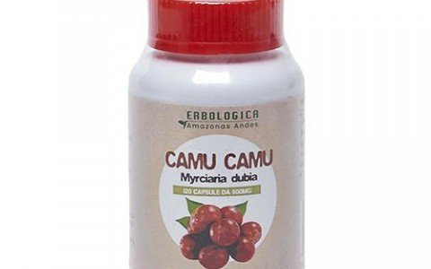 Camu camu and its properties