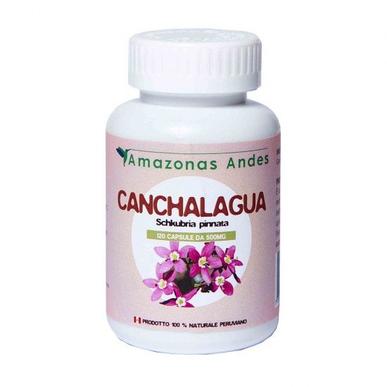 Canchalagua in capsules