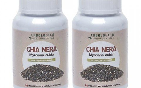 Chia seeds properties and benefits