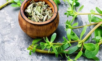 Erbe medicinali: La guida definitiva - Cosa c'è da sapere