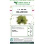 Lichene islandico tisana  Lichene islandico tisana