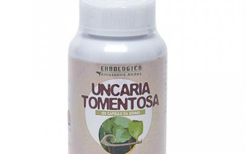 Uncaria tomentosa benefits and properties Uncaria tomentosa benefits and properties