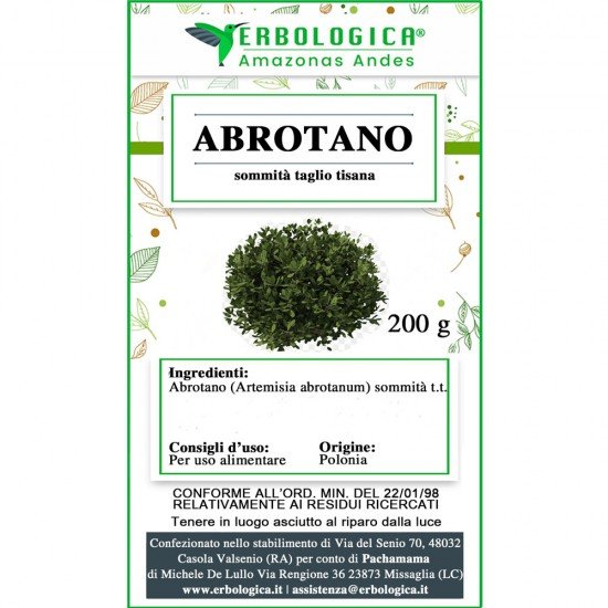 Abrotano sommità tisana Abrotano sommità tisana
