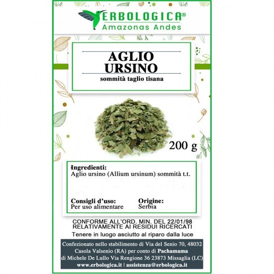 Aglio ursino sommità tisana Aglio ursino sommità tisana
