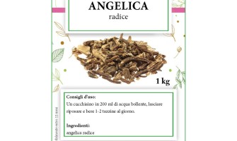 Distributori erbe aromatiche e officinali Distributori erbe aromatiche e officinali