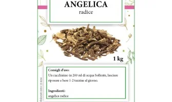 Distributori erbe aromatiche e officinali