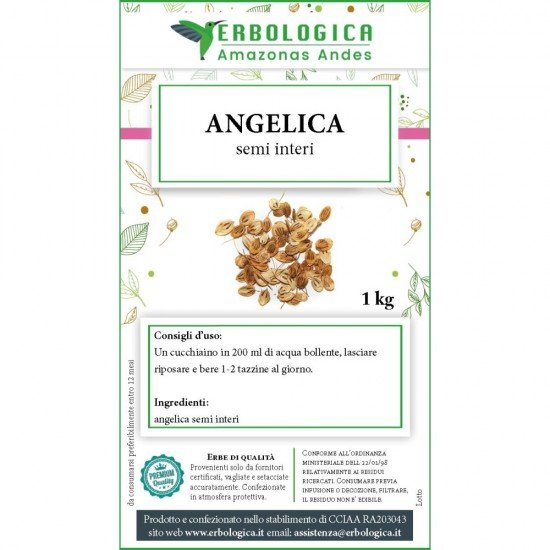 Angelica semi interi tisana 1 kg Angelica semi interi tisana 1 kg