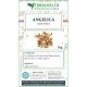 Angelica whole seeds herbal tea 1 kg