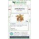 Angelica semi interi tisana 1 kg Angelica semi interi tisana 1 kg