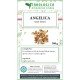 Angelica whole seeds herbal tea 500 grams Angelica whole seeds herbal tea 500 grams