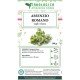 Roman absinthe herbal tea 100 grams Roman absinthe herbal tea 100 grams