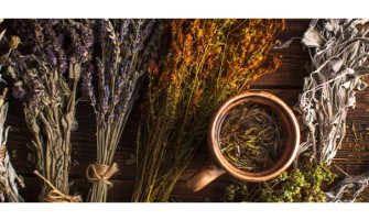 Benefici delle erbe officinali nel mese di Ottobre